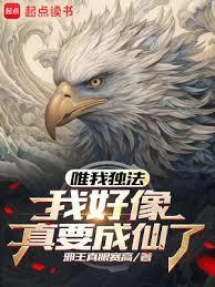 邀月棋牌