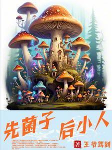 迦勒底负责人[综