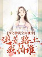 雷系的武器