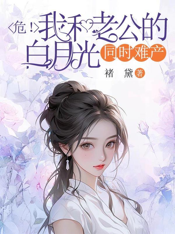 何齐顾政