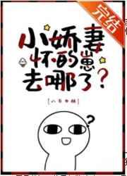 凑朝阳多少岁了
