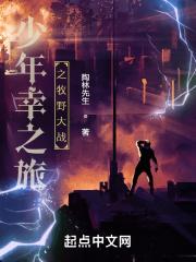 女主江意苏锦年
