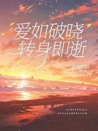 外乡人的旅途百度百科