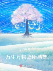 女主叫夜弦的