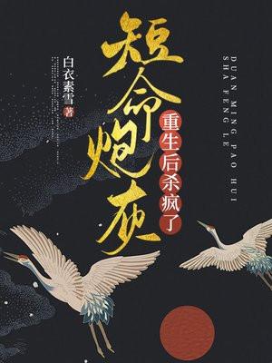 超品相师百科