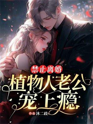 清祖扶明录
