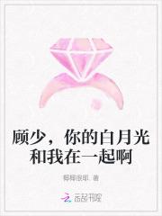 秦启南唐小鱼最新章节更新
