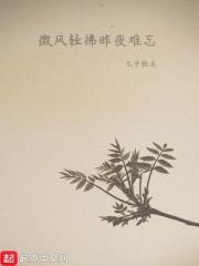 叶孤城是哪个