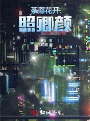 女主叫宁嘉的名字