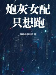重生追星族民国也疯狂