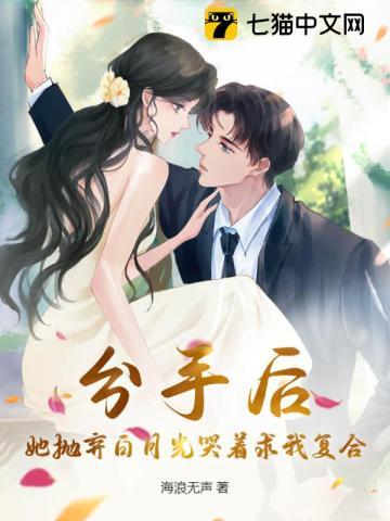 向导和哨兵设定