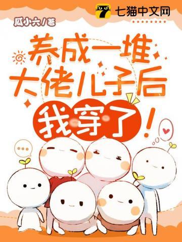 向导哨兵设定推荐