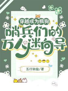 偷香高手后传无辰