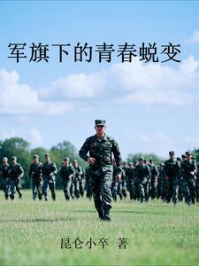 偷香高手完整版
