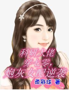 提枪上阵免费阅读