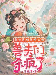 沈乔虞墨