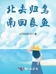 穿越骑士飞行表演队