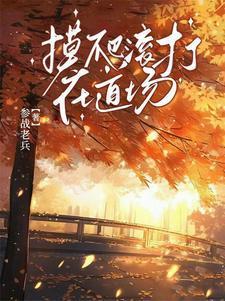 穿越骑士世界有歌查德的