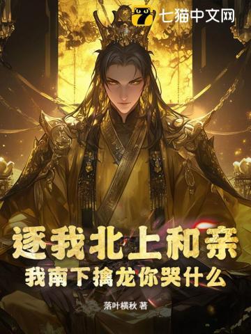 文物鉴宝类