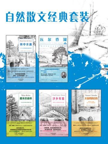 她们都说是我未来的妻子第二部在线观看