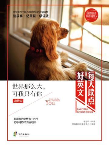 闪婚老公是首富免费