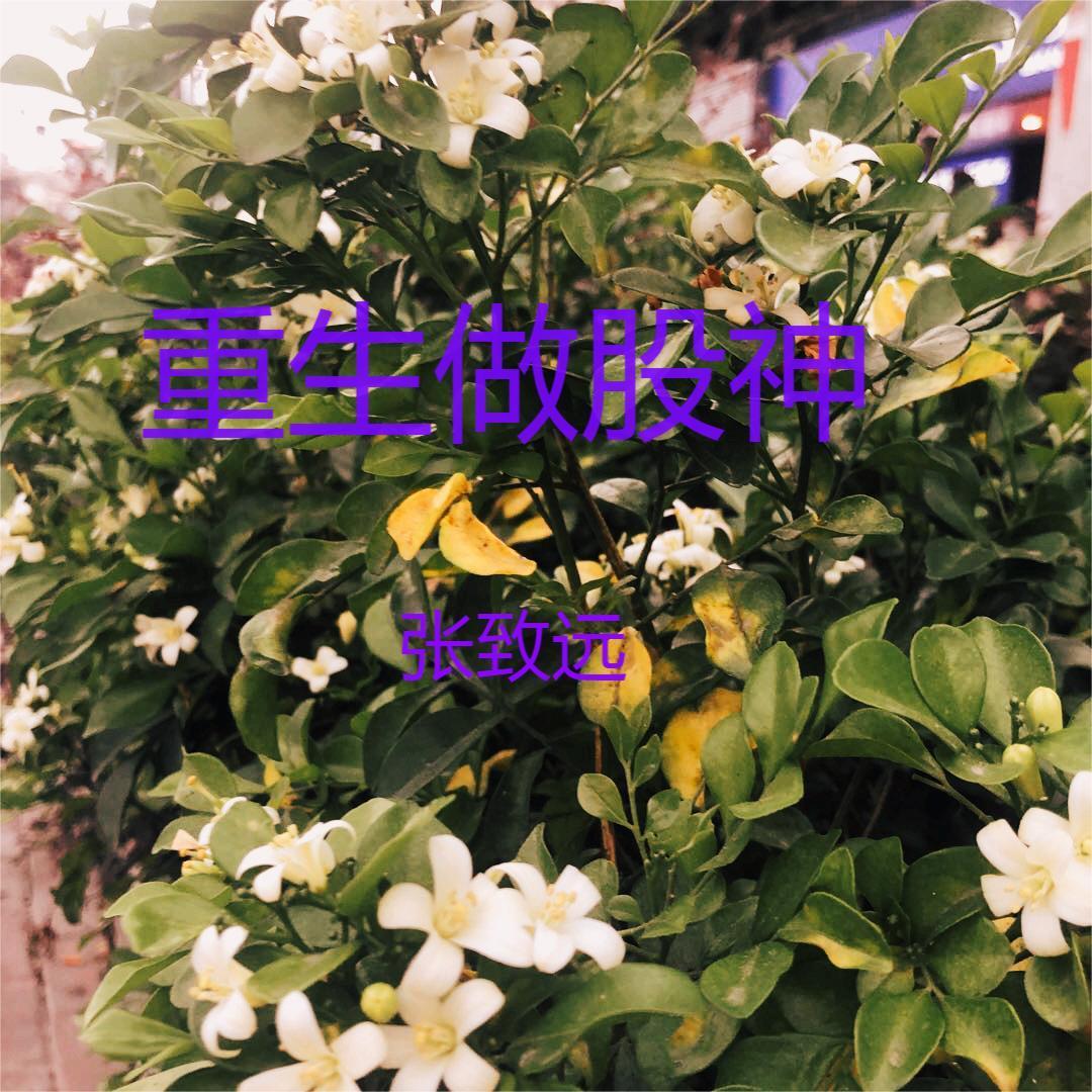 诡异入侵奥特世界