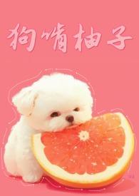 穿成三岁办小奶龙