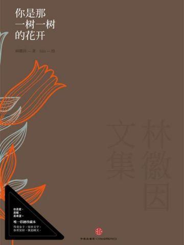 桃源小仙医赵小宁