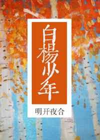 驭娇官途免费阅读全文