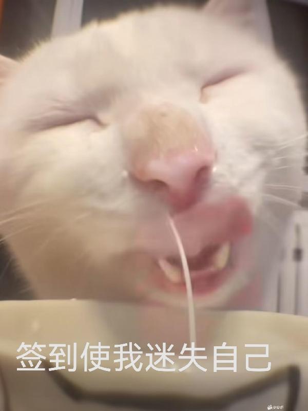 离婚后我闪嫁了首富