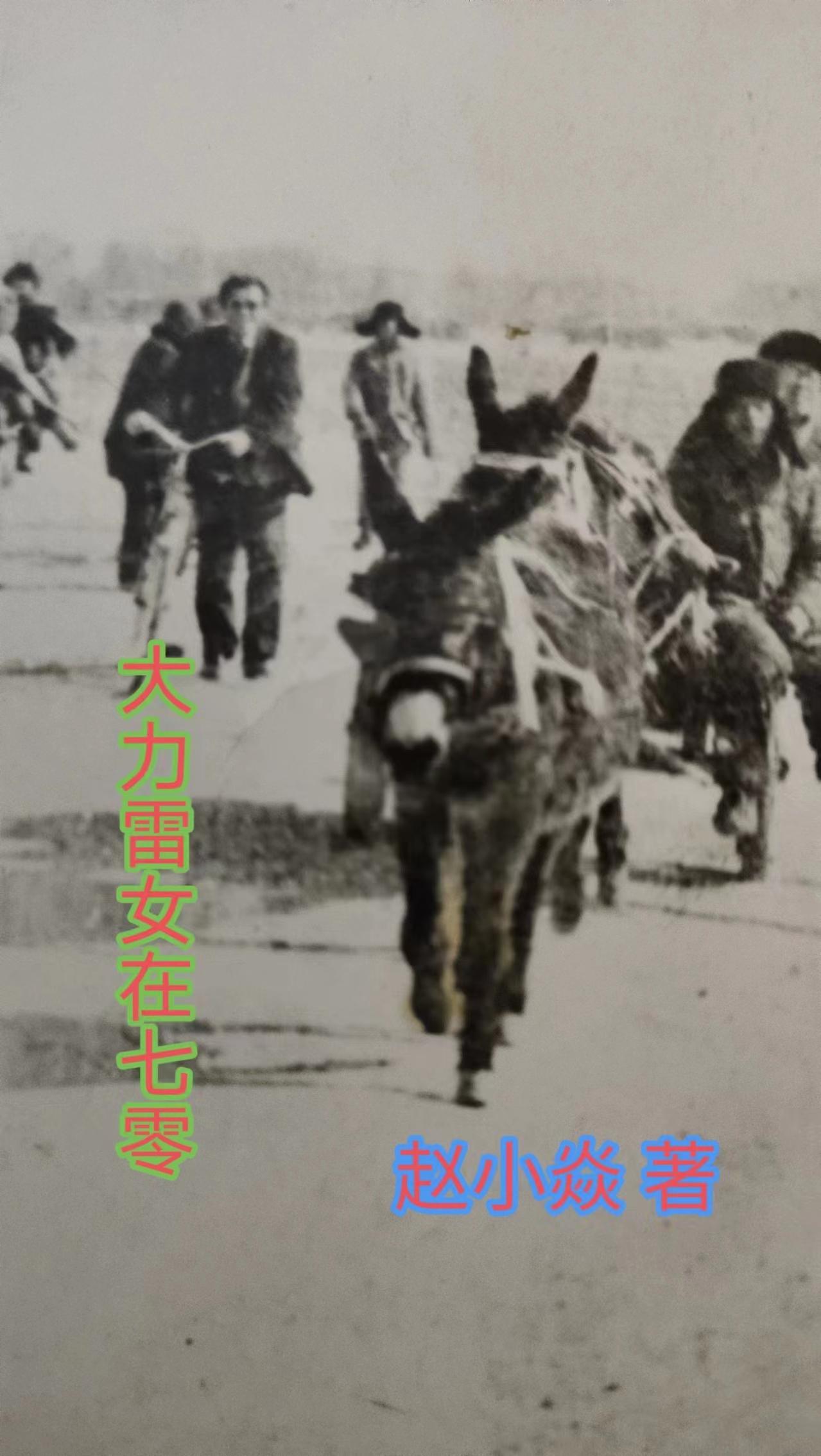 末世永生修离