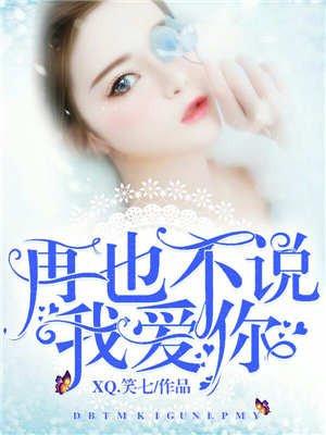 红楼梦之瑕疵