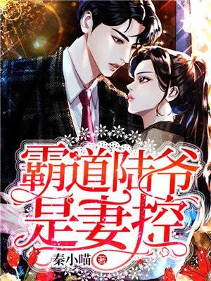 官场主角姓陈在镇上工作