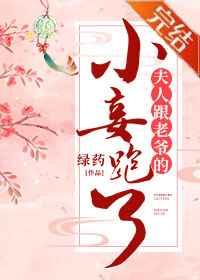 寻龙天师风尘散人免费阅读