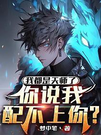 医婿叶辰免费全文阅读完整版