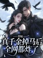 剑来txt完整版