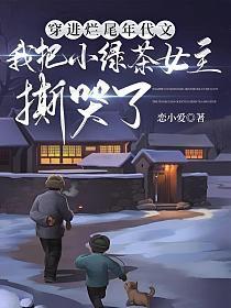 叶青芷谢晋免费阅读最新