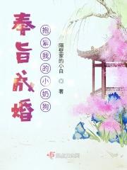 我能召唤离谱伙伴无错
