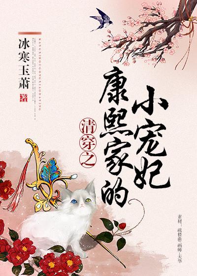 女主苏乔