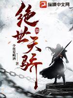 明末风云之天启大帝百度百科