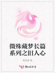游星魂卡组