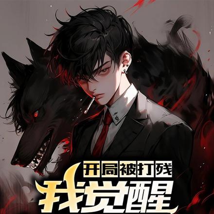 纳妾记第一季全集免费观看