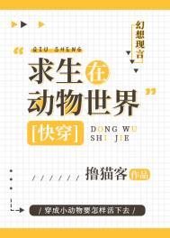 夕阳的朝晖洒满了湖面怎么修改病句
