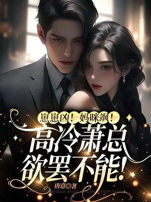 女局长是什么电视剧