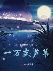 圣诞恋歌实战