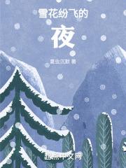 荣妃娘娘宠冠后宫免费阅读