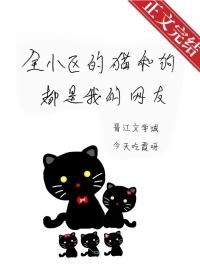 青杏小天下茶屋免费阅读