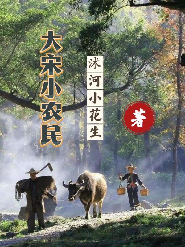 女主叫陈可欣的穿越