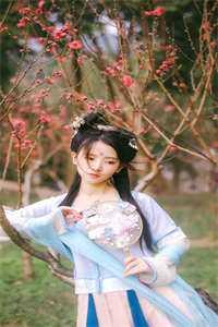 红楼大当家免费章节阅读